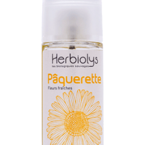 Macérât de Pâquerette bio – Huile bien-être